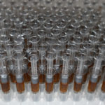 syringe003 | My Green Solution