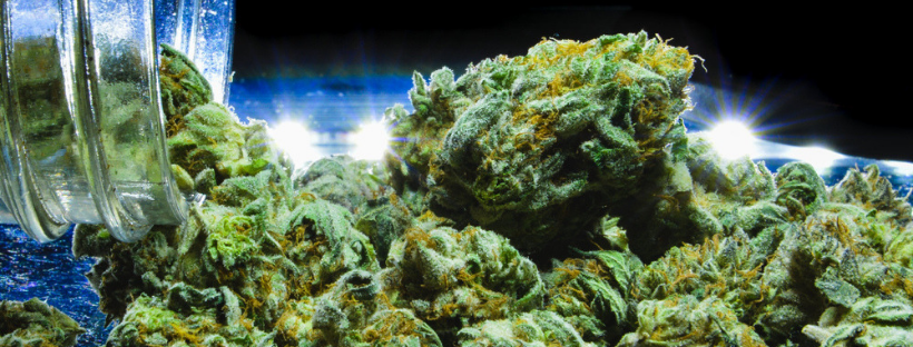 Top 5 Sativa Strains For Anxiety
