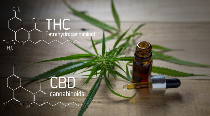 CBD THC Benefits