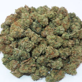 buy weed citrique strain from mail order weed online dispensary my green solution. Weed shop online cannabis Canada. weed online canada. Purple Kush & girl scout cookie strain.