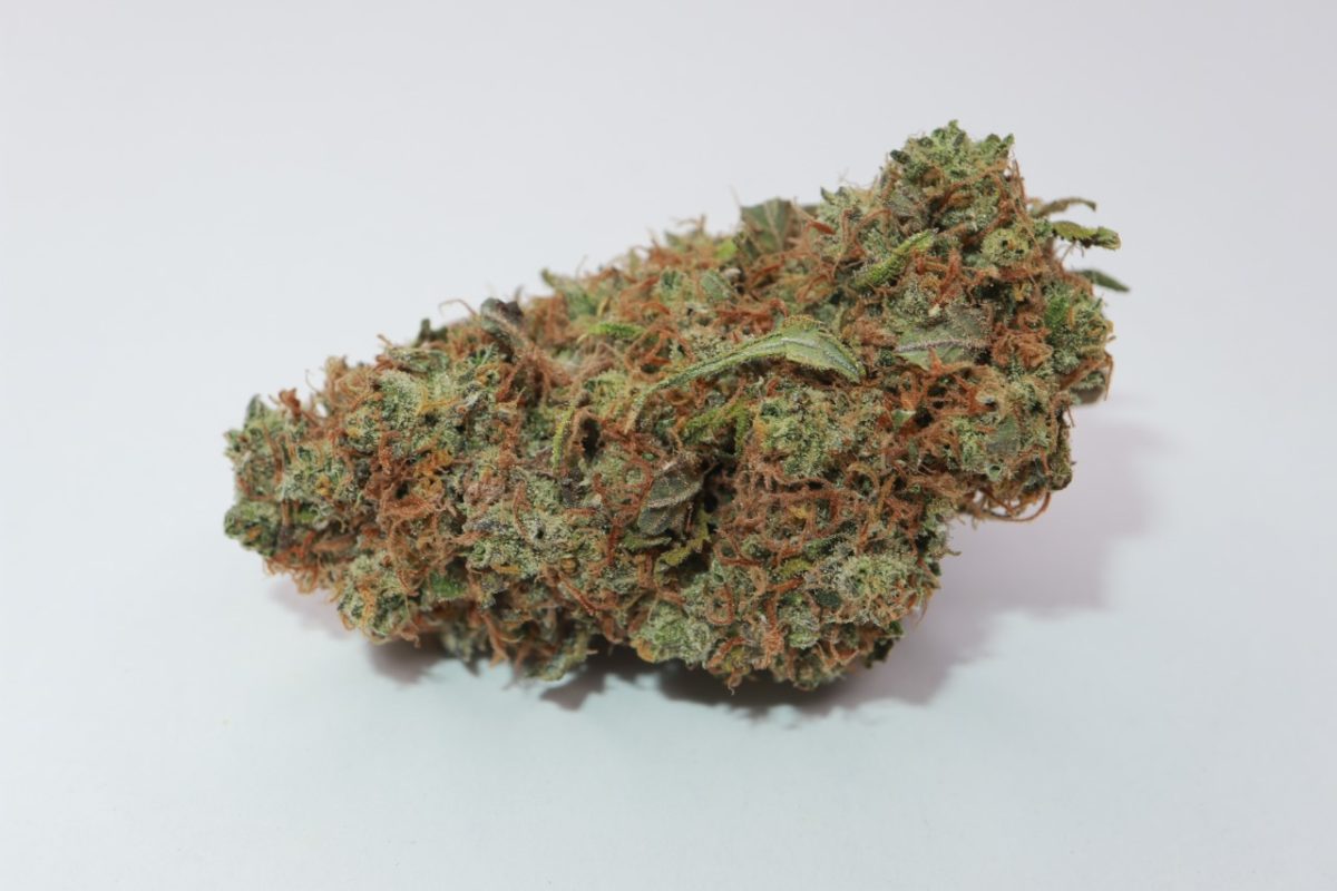 Buy Citrique strain weed online in Canada from my Green solution weed online. mail order marijuana canada. order weed canada. buy edibles online canada.