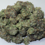 Buy pink kush online