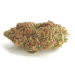 buy weed online in Canada purple afghani strain from the best online dispensary and mail order marijuana weed shop.