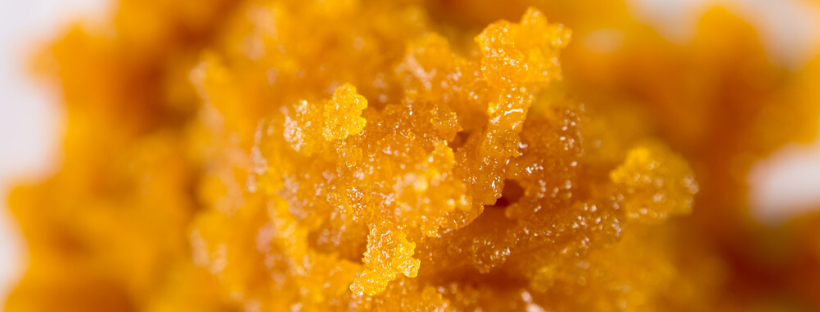 A Primer on Cannabis Concentrates


