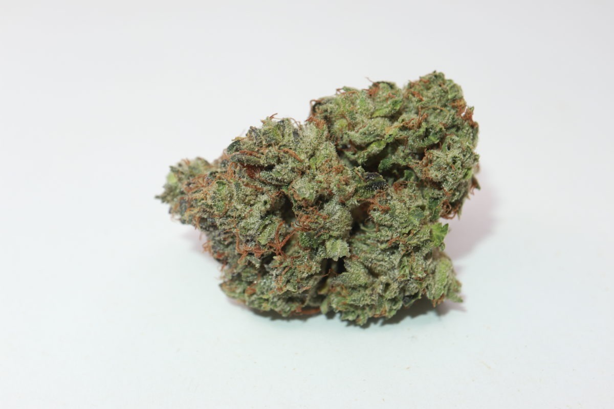 order weed online bruce banner strain from online dispensary my green solution. buy online weeds cannabis canada. buy weed vapes canada.