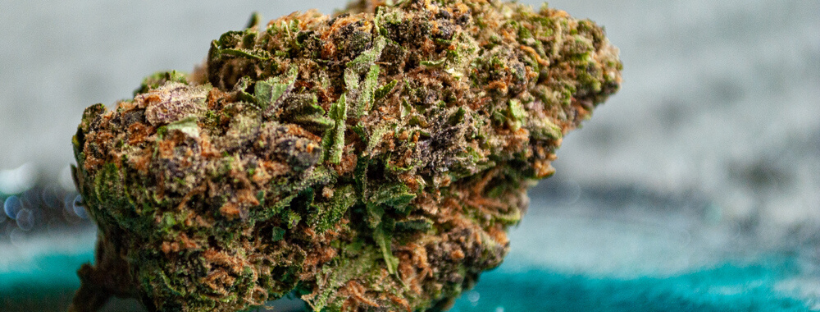 A Brief Overview of Cannabis Strains
