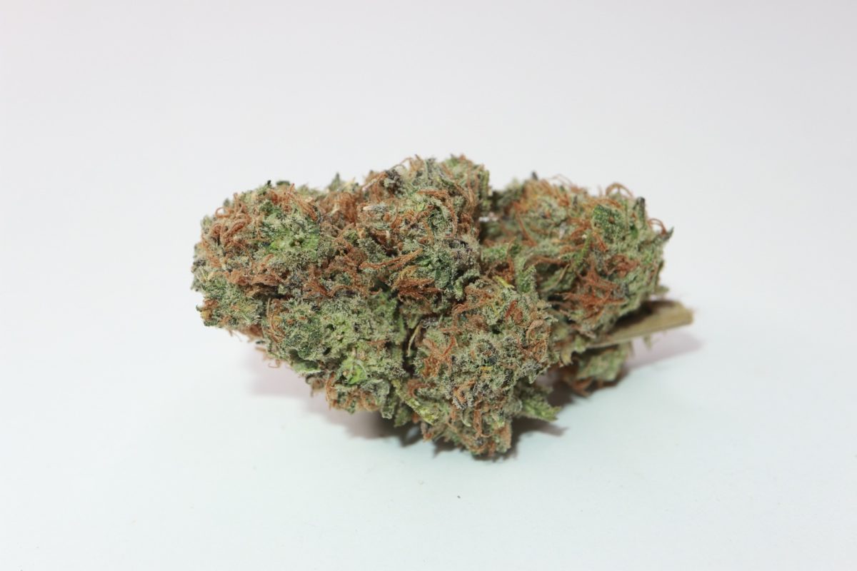 order weed online grease monkey strain from My Green Solution online dispensary Canada. buying weed online. cannabis canada. Vape pen. Buy master kush weed.
