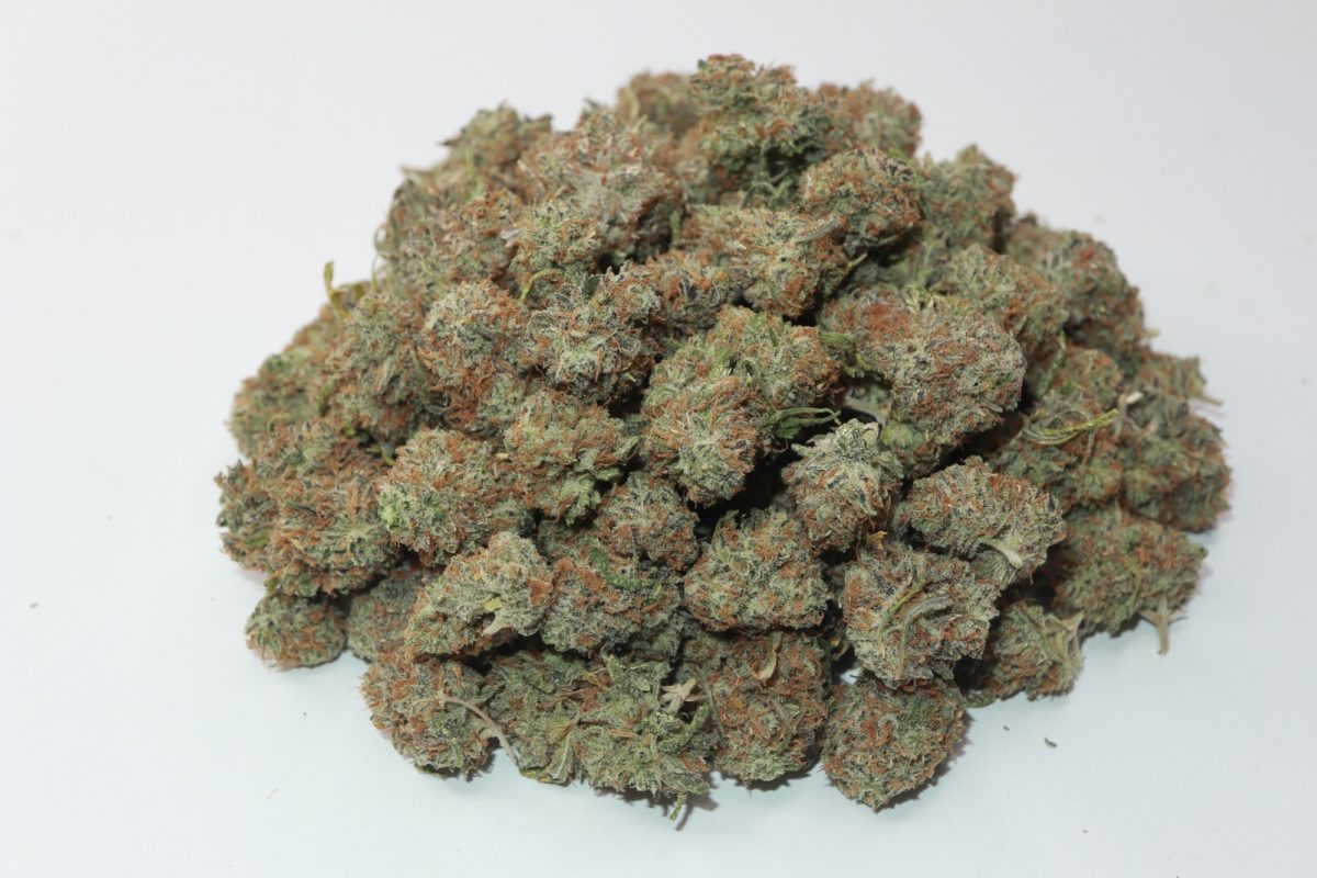 buy weed. grease monkey strain from My Green Solution online dispensary. buy weed online. budmail. order cannabis online. weed shop online with mail order marijuana in canada.