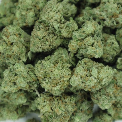 Buy Master Kush Ultra weed online at My Green Solution online weed dispensary. cheap weed canada.