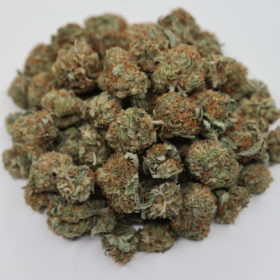 Buy weed king tut strain from my green solution online dispensary in Canada for mail order weed. Buy weeds online. cheap weed canada.