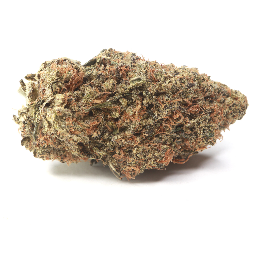 order weed online chocolope strain from mail order marijuana online dispensary my green solution. buy weed online canada. Order cheap weed canada.
