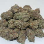 Jet Fuel