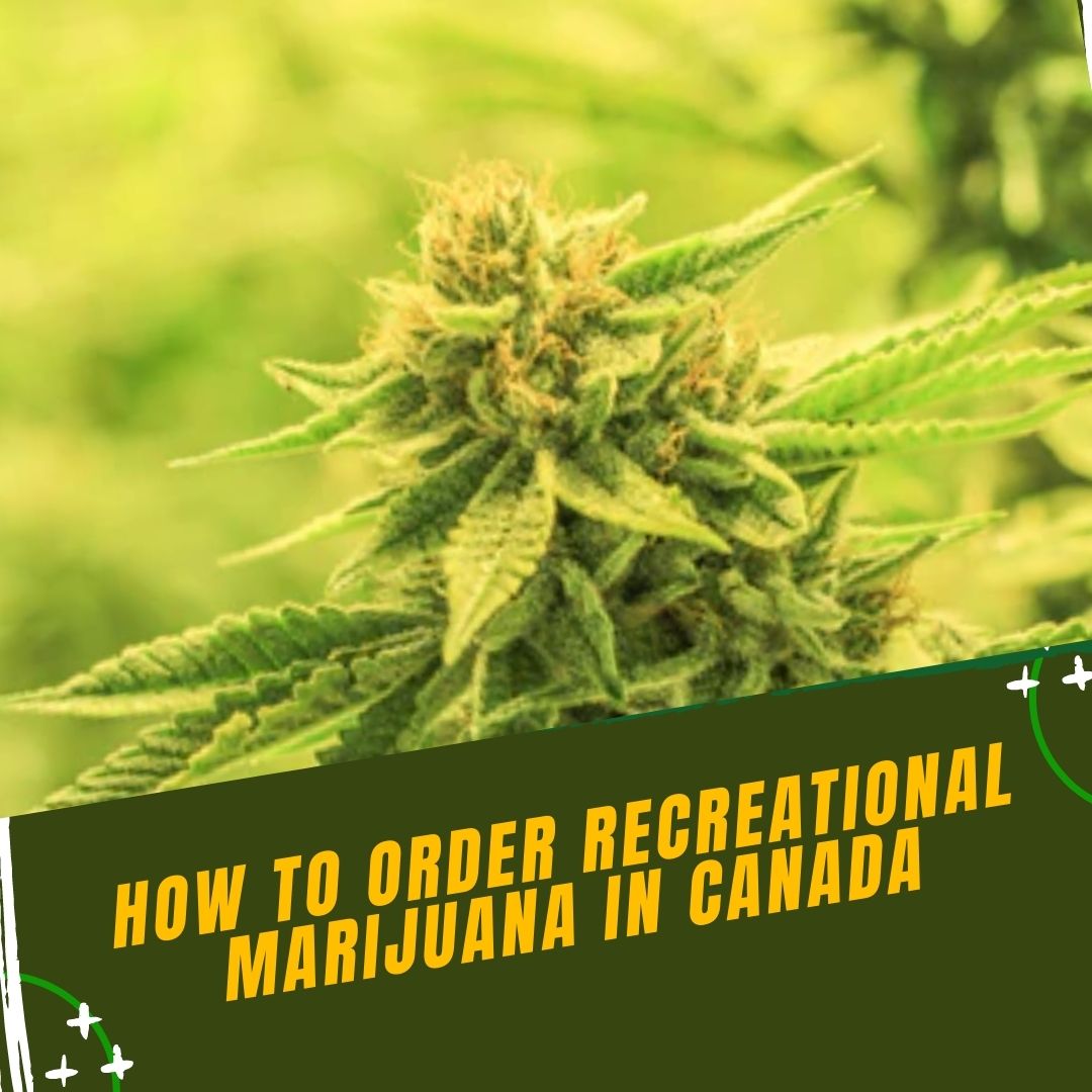 recreational marijuana