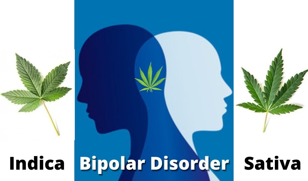 Is Indica or Sativa better for Bipolar Disorder?