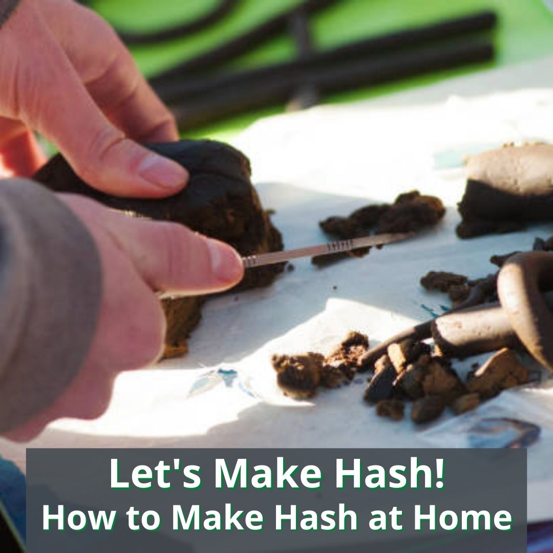 Let's Make Hash! How to Make Hash at Home