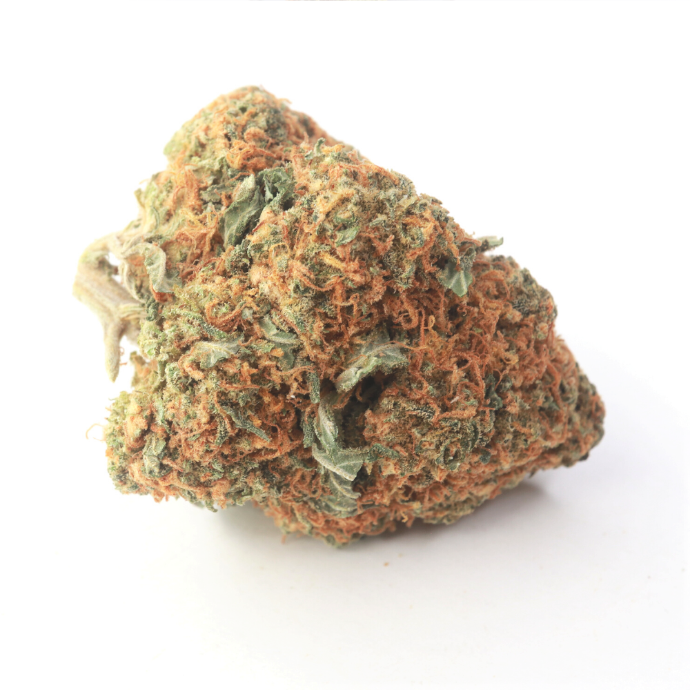 buy weed online king tut strain from mail order weed online dispensary in Canada my green solution. buy weeds online. mail order weed canada. weed online.