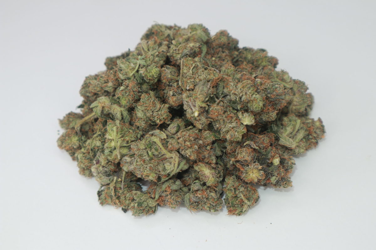 buy weed online bluefin tuna kush from mail order weed dispensary my green solution. cheap weed canada. Online dispensary. mail order weed canada.