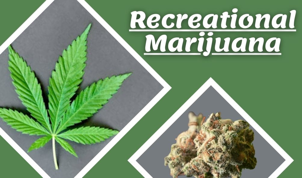 Big Questions on Weed: Is Recreational Use Risky?