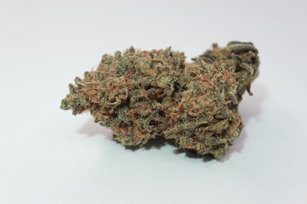 buy weed mendo breath strain from online dispensary my green solution. order weed online. mail order weed. online weed dispensary. buy weed online.