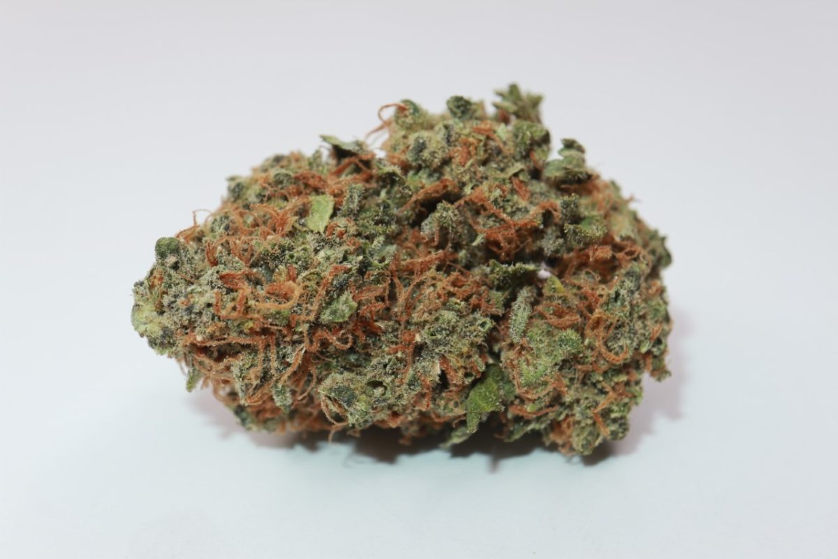 order weed online lsd strain from online dispensary and mail order weed shop my green solution. buying weed online. cannabis canada. Vape pen. Buy master kush weed.