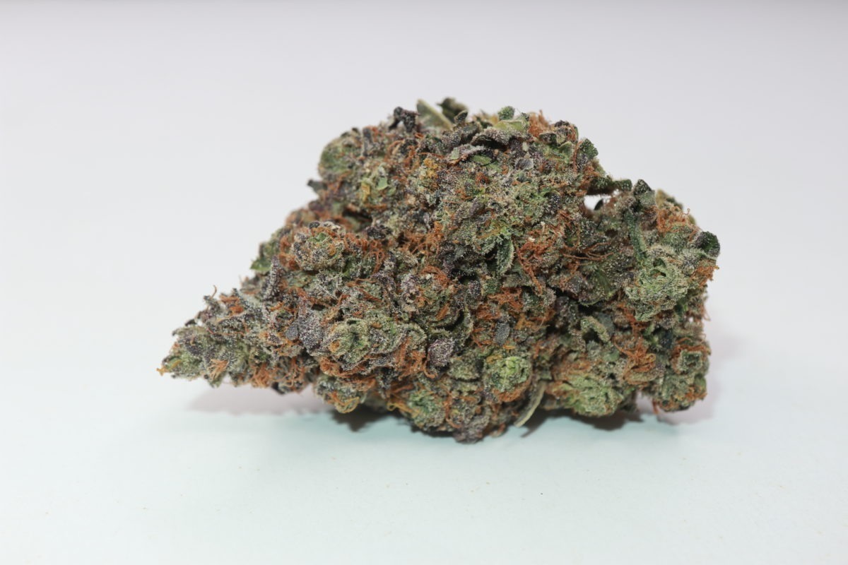 order weed online SHERB QUAKE strain. cheapweed online canada. weed shop to buy weed. online dispensary.