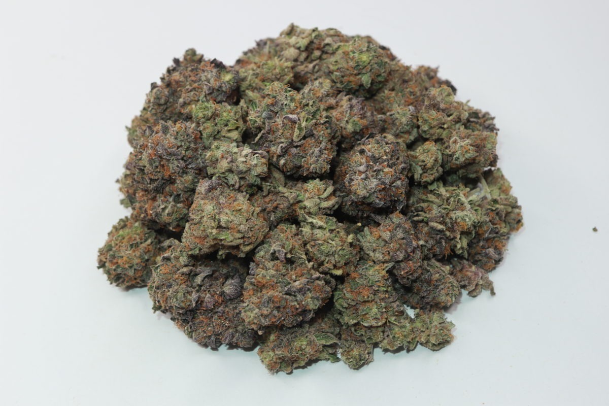 Buy SHERB QUAKE weed strain online in Canada from online dispensary My Green Solution. Weed shop online cannabis Canada. weed online canada. Purple Kush & girl scout cookie strain.