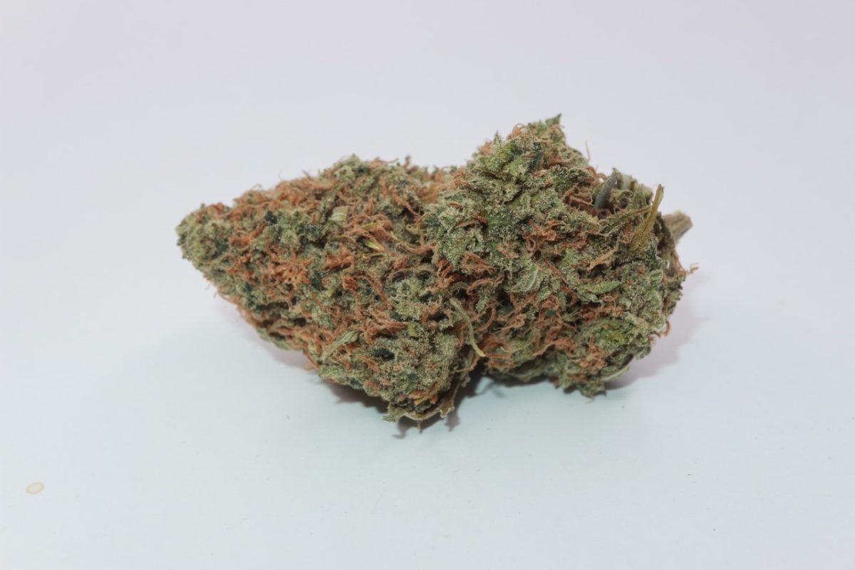 buy weed supergirl strain from my green solution online dispensary in Canada. edibles & shatter buy online canada. Buy weed el jefe or gelato strain canada.