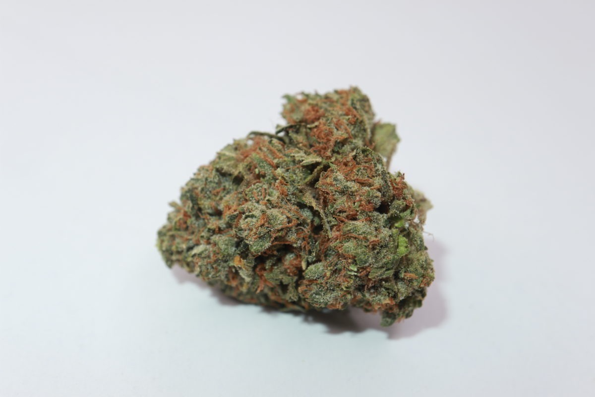 buy weed candy jack strain from mail order weed canada online dispensary. Buy weed online.