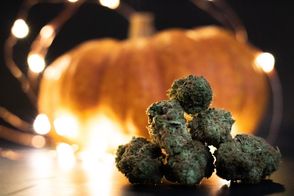 halloween weed strain