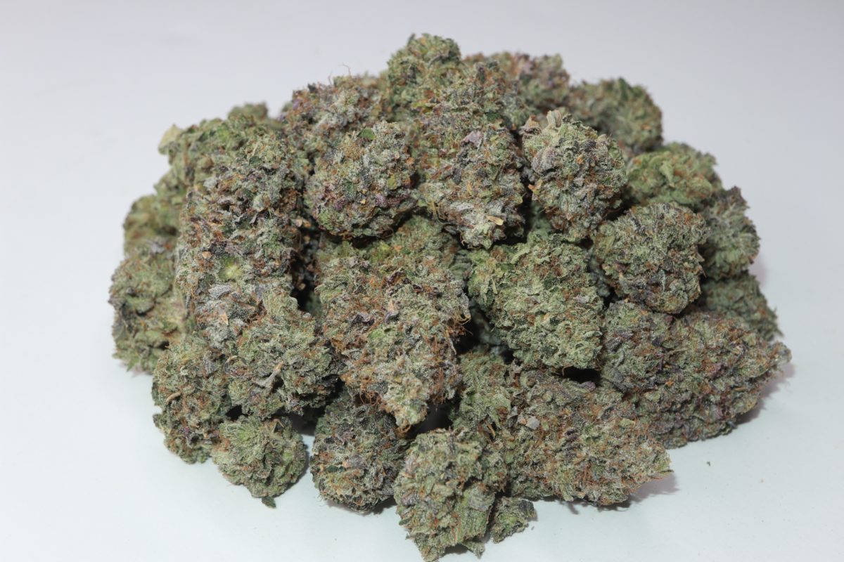 buy weed el chapo strain from my green solution online dispensary. Weed shop online cannabis Canada. weed online canada. Purple Kush & girl scout cookie strain.