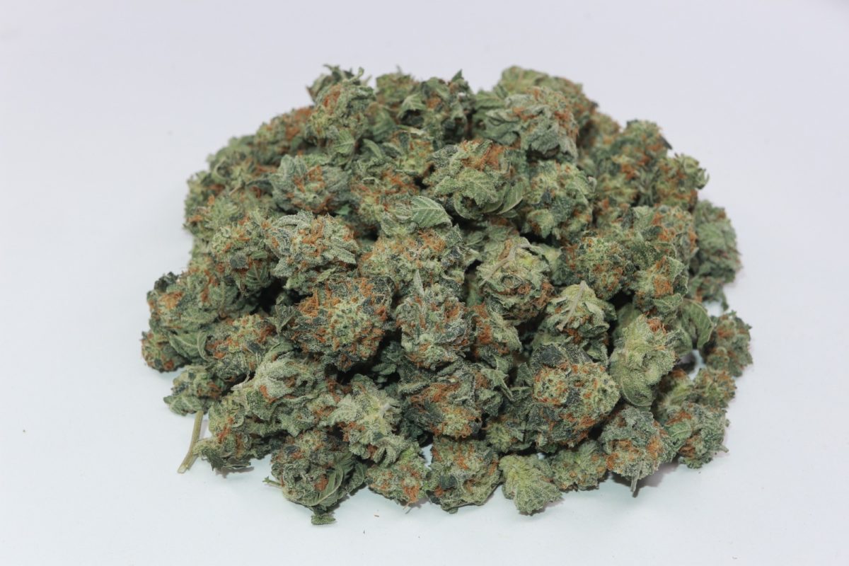 Buy jungle cake strain weed from online dispensary & mail order weed shop My Green Solution. buy online weeds. sativa, indica, hybrid weed strains. online dispensary canada.
