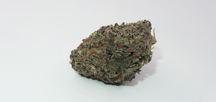 Buy weed Granddaddy Purple budget buds. dispensary vancouver. cheap weed canada. marijuana dispensary.