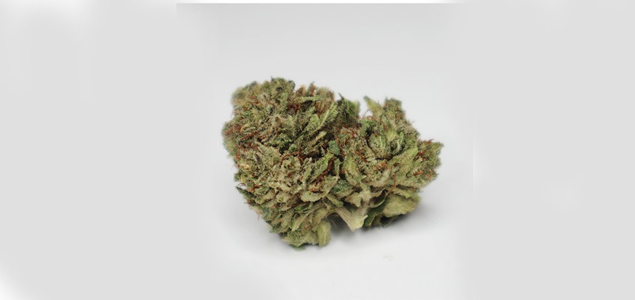 Pink Kush weed for a better sleep. buy weed online.