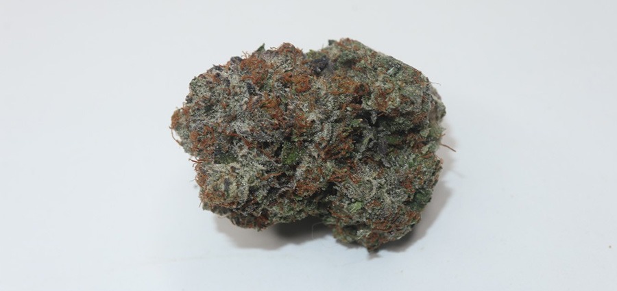 Purple OG marijuana for insomnia relief. buy weed online in Canada. Indica stains.