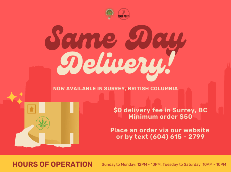 Same Day Delivery Web Banner Mobile (464 × 346 px)