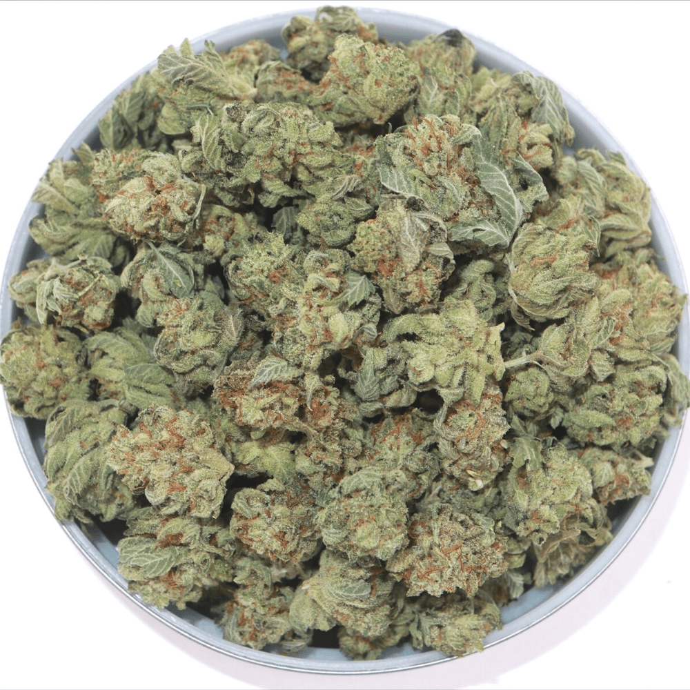 Buy blue dream weed online in Canada at My Green Solution online dispensary for mail order weed. buy weed online. death bubba strain. weed delivery.