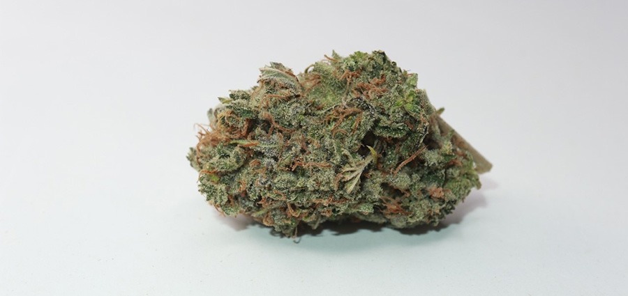 ultra sour strain bud from online dispensary & mail order marijuana weed online My Green Solution. Buy weed online.