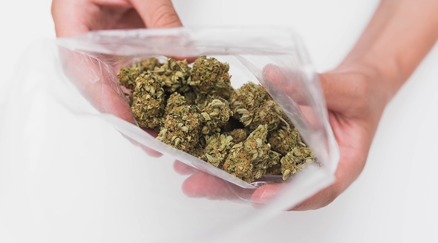 Bag of weed Pink Kush Strain Review. Buy weed online in Canada.