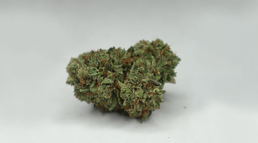 picture of chemo bud. chemo weed strain review. Buy weed online.