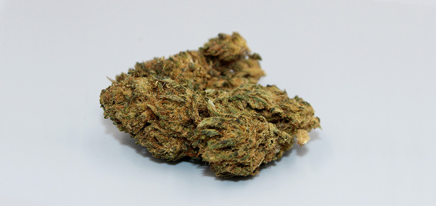 Purple Chemo weed bud. buy weed online. Best online dispensary.