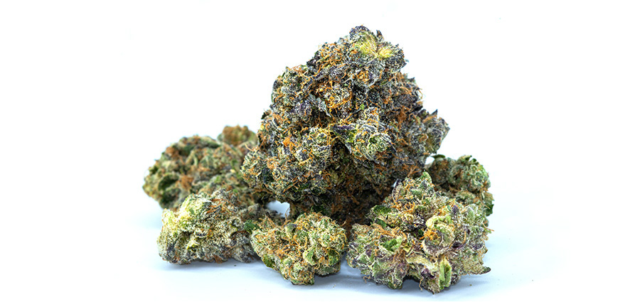 Alien OG Weed buds next to Purple Alien OG weed. buying weed online. cannabis canada. Vape pen. Buy master kush weed. 