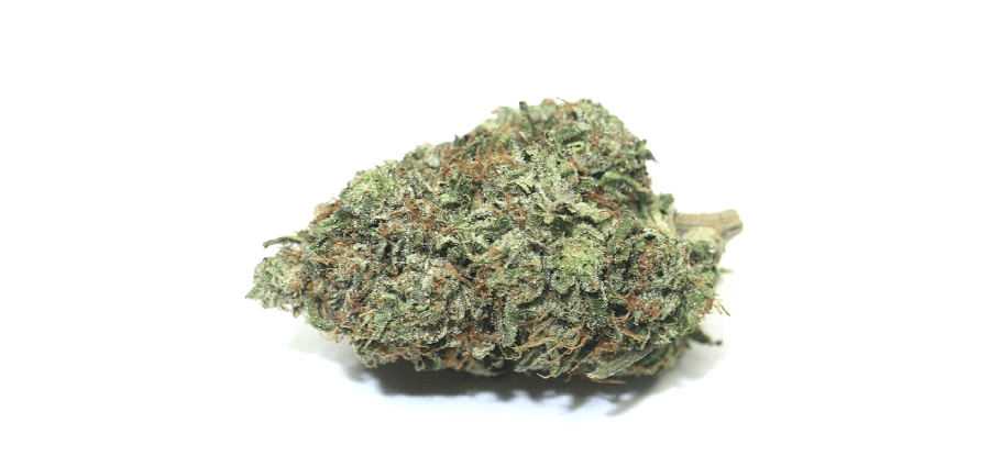 Sativa strain weed online from weed dispensary My Green Solution. BC cannabis. weed delivery canada. bc cannabis stores. 