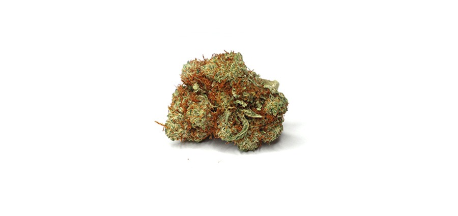 Red Congo budget buds. Best Sativa strains from online dispensary Canada for BC cannabis.