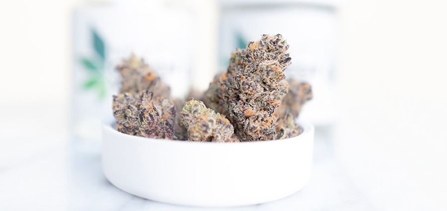 purple og kush strain budgetbuds and cheap weed for sale at online dispensary Canada to buy weed online, My Green Solution.