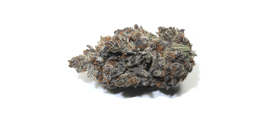 Purple Space cookies sativa strain. sativas vs hybrids vs indicas. where to buy sativa strains online. buy weed strains online in canada. best weed store near me