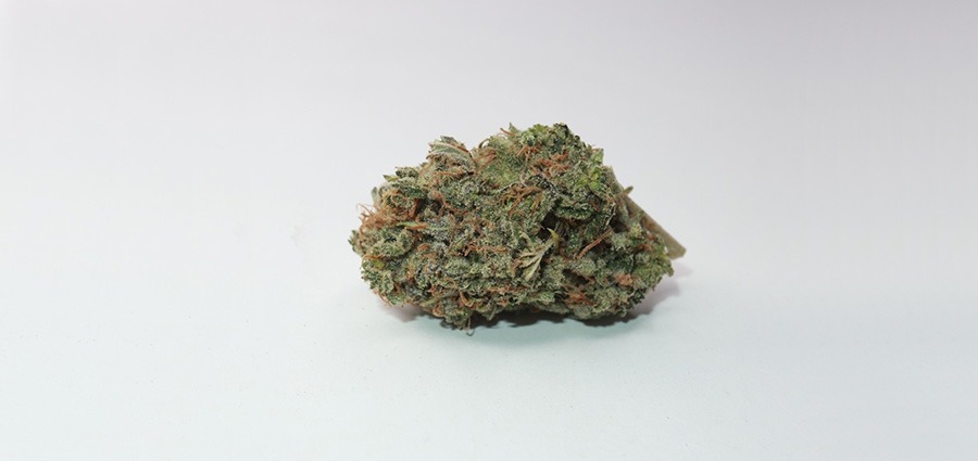Buy weed Ultra Sour best Sativa strains from online dispensary Canada to buy weed online My Green Solution.