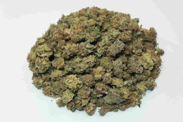 order weed online platinum cookies strain from mail order weed online dispensary my green solution. buy online weeds cannabis canada. buy weed vapes canada.