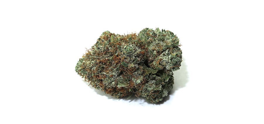 OG God Kush value buds for sale online at weed dispensary for BC Cannabis. buy online weeds.