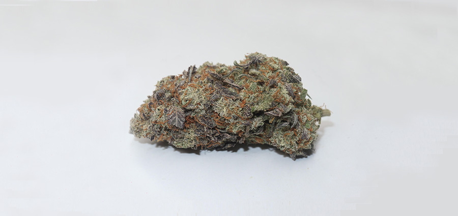 Dosido budget buds from online dispensary Canada My Green Solution. BC cannabis. Buy weed online.