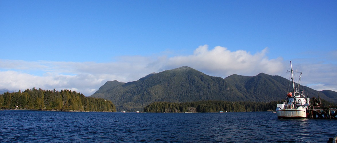 Tofino, BC. Buy BC cannabis and BC weed online from My Green Solution online dispensary.